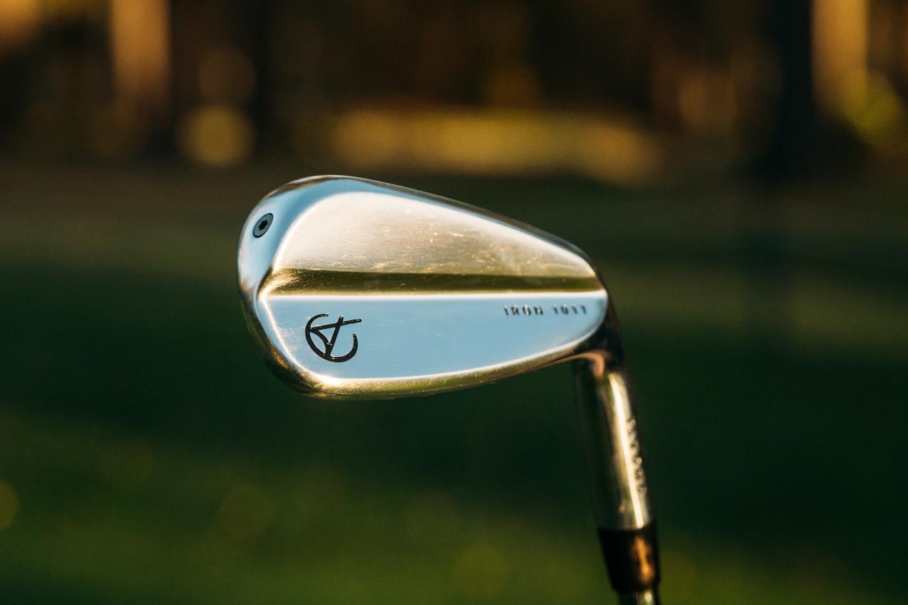 Takomo 101T Irons Review: 